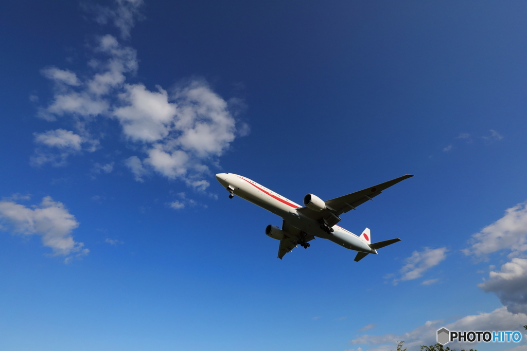 Japanese Air Force