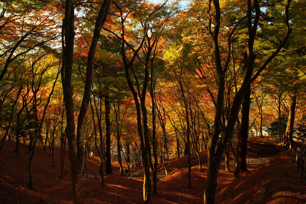 秋深し 香嵐渓