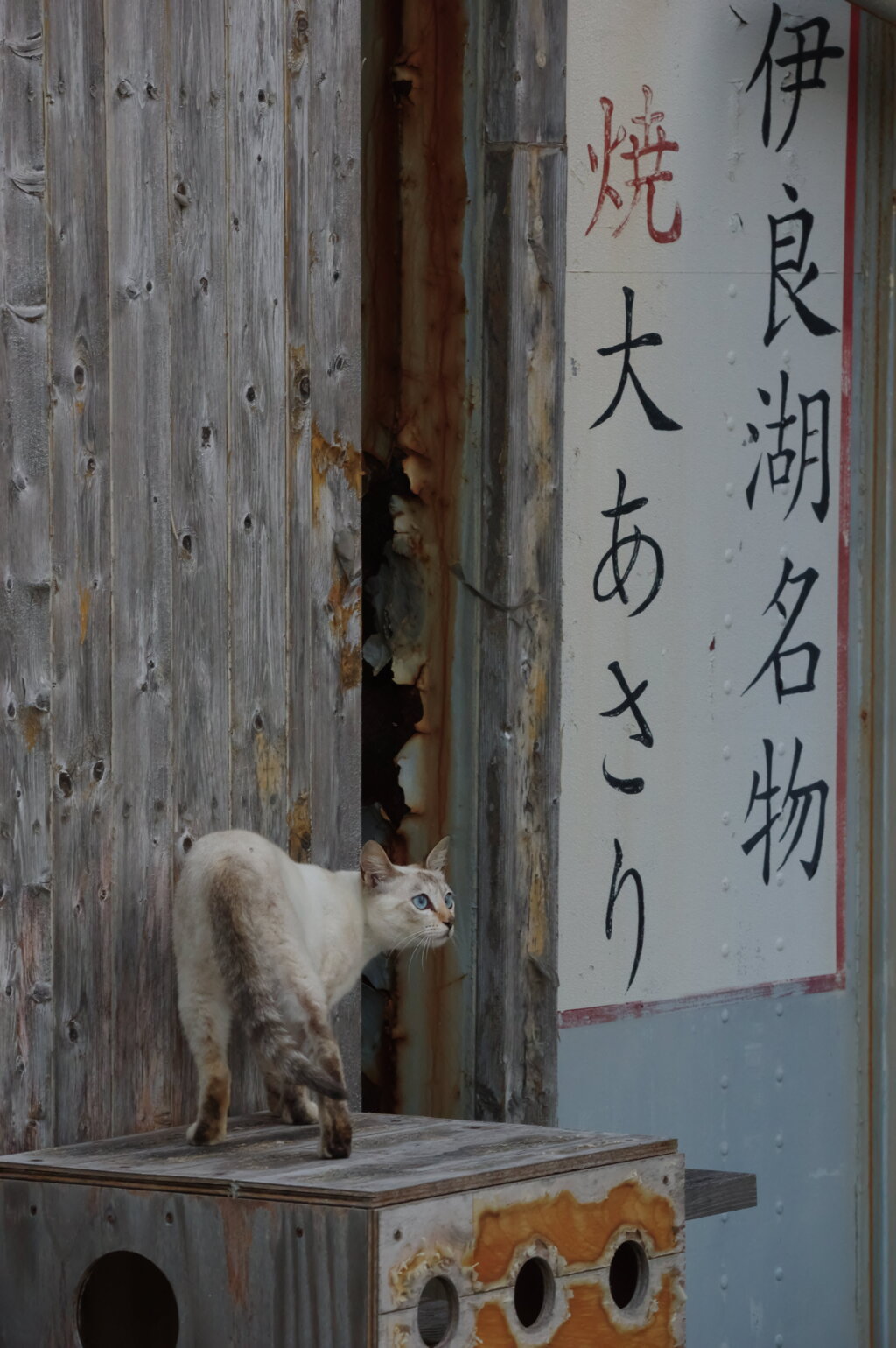 名物案内