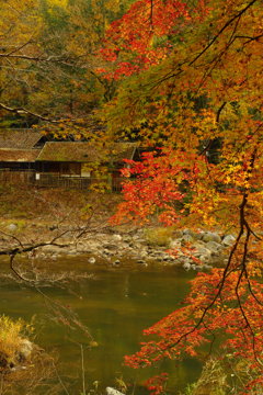 秋模様 香嵐渓