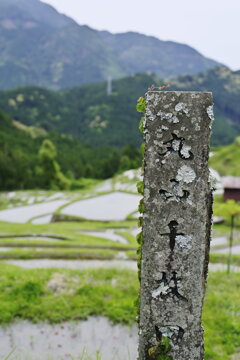 丸山千枚田行ってきた