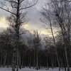 冬の夕日は雲の向こうに