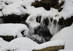 飛沫が氷柱に