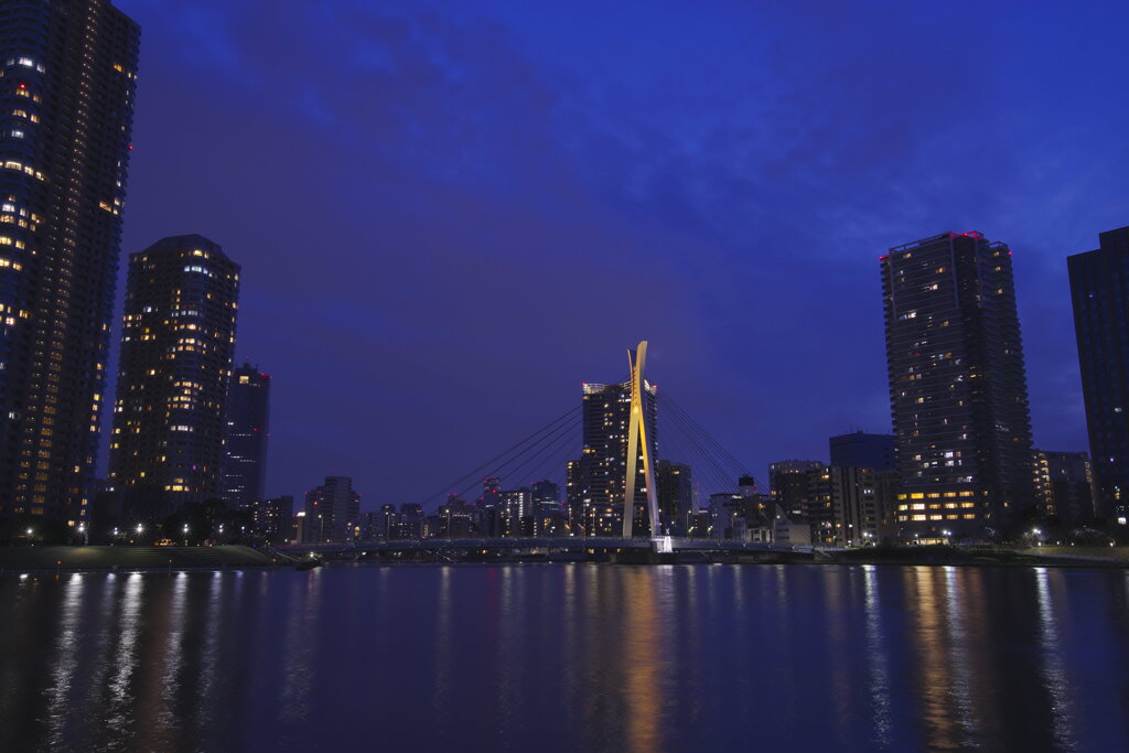 水辺の夜景