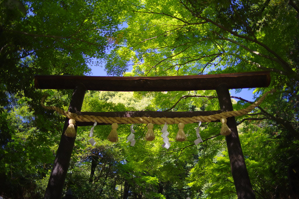 野宮神社