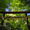 野宮神社