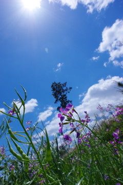 under the sun
