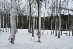 御嶽山らへん行ってきた