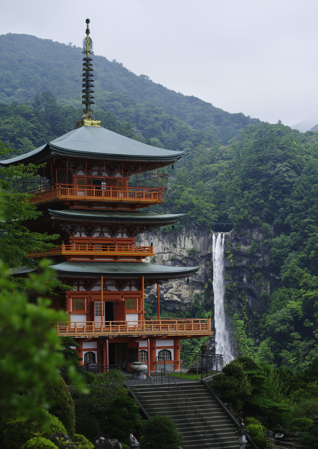 ベタ