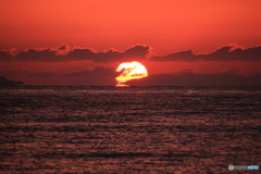 朝日だるま