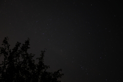 星空＠大聖寺公園