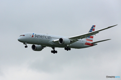 「曇り」 American 787-8 N821AN 到着