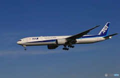 「あおぞら」ANA 777-381 JA736A Landing