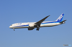 「青色」ANA 787-9 JA883A  着陸です