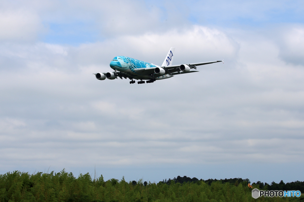 「曇り」ANA A380-841 JA382A  Landing