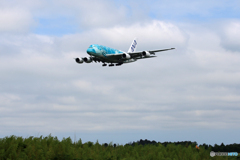 「曇り」ANA A380-841 JA382A  Landing