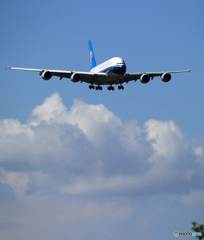 「すかい」China 南方 A380-841 B-6137 着陸します