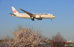 ☀「青い空」が一番  787-8 着陸します
