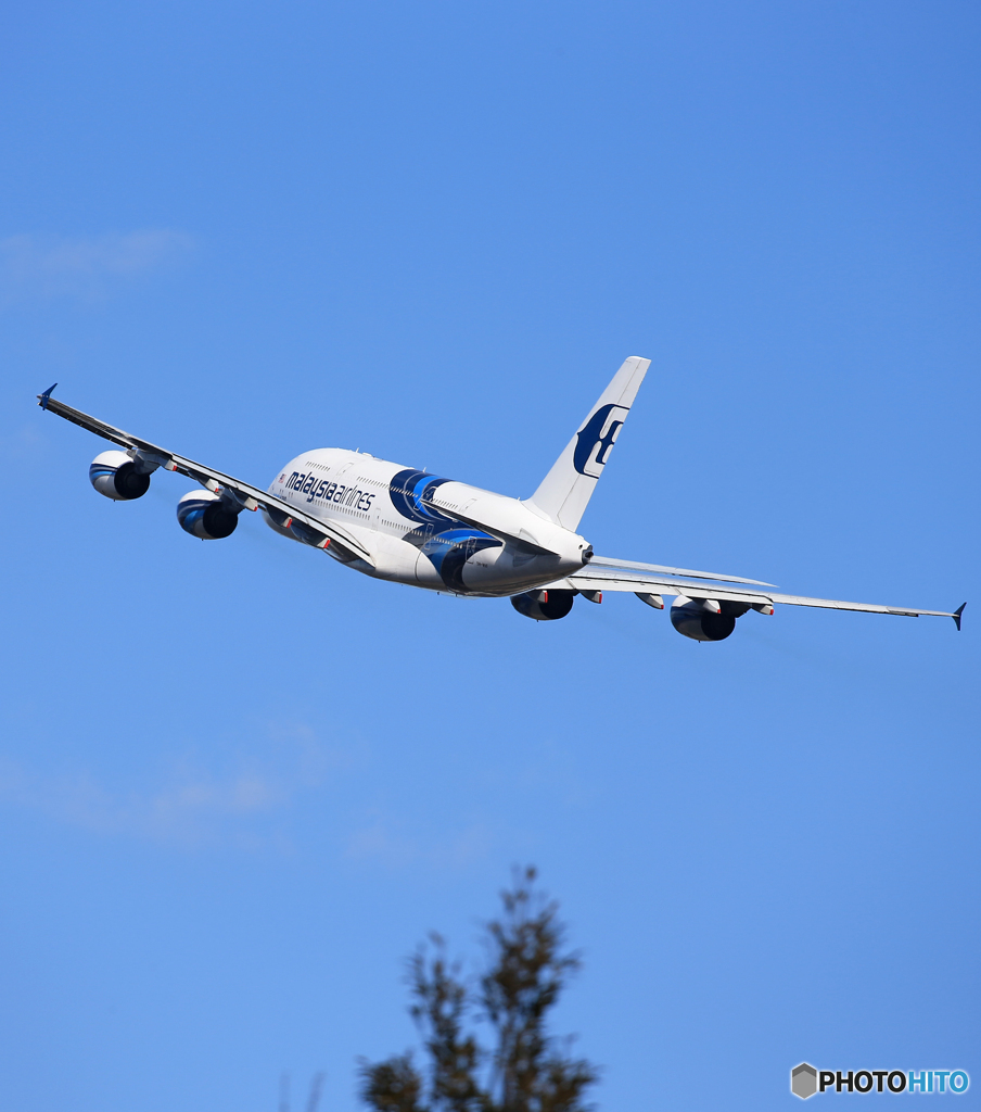 「青が好き」 Malaysia A380-841 9M-MNFATakeoff 