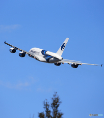 「青が好き」 Malaysia A380-841 9M-MNFATakeoff 