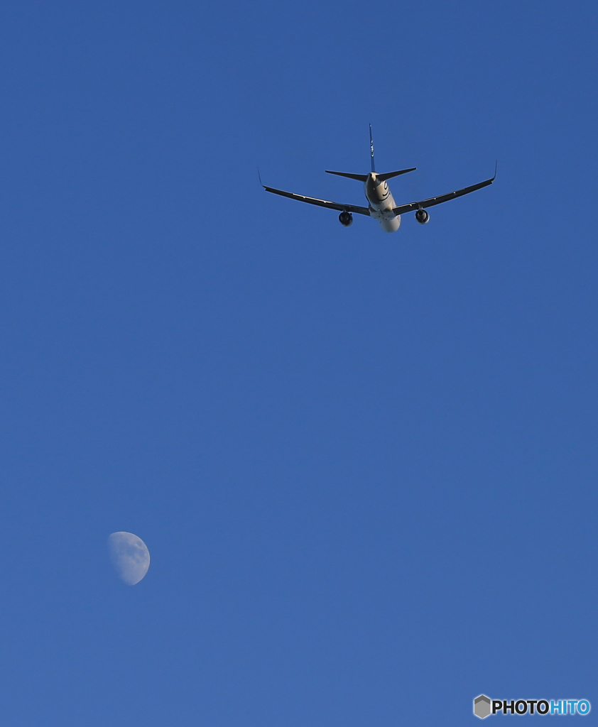 「真青の空」  DELTA SKY 767 飛ぶ