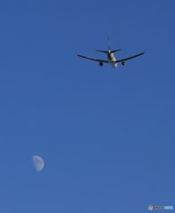「真青の空」  DELTA SKY 767 飛ぶ