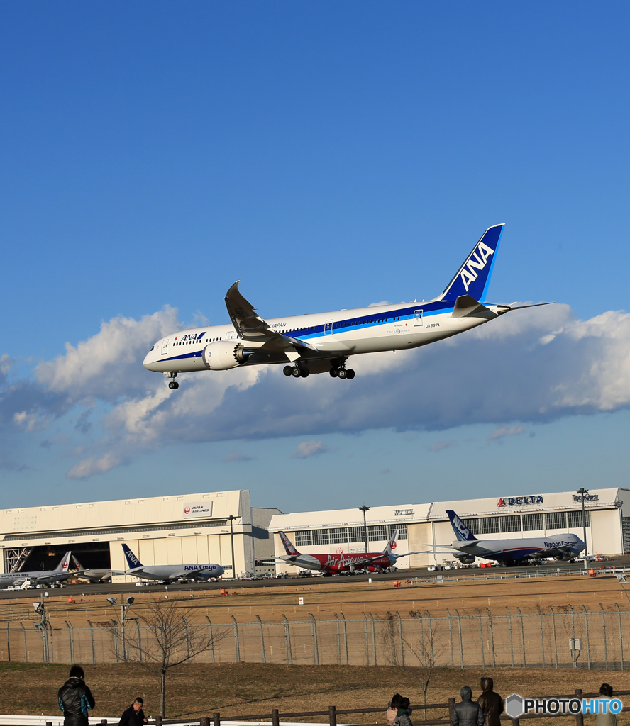 「ぶるー」 ANA 787-9 JA897A 空港・風景