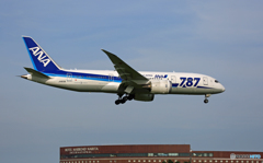 「良い天気」 ANA 787-8 JA813A 到着です