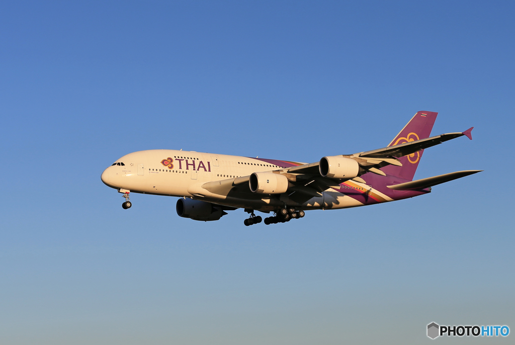 「青色」THAI A380-841 HS-TUB 到着