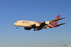 「青色」THAI A380-841 HS-TUB 到着