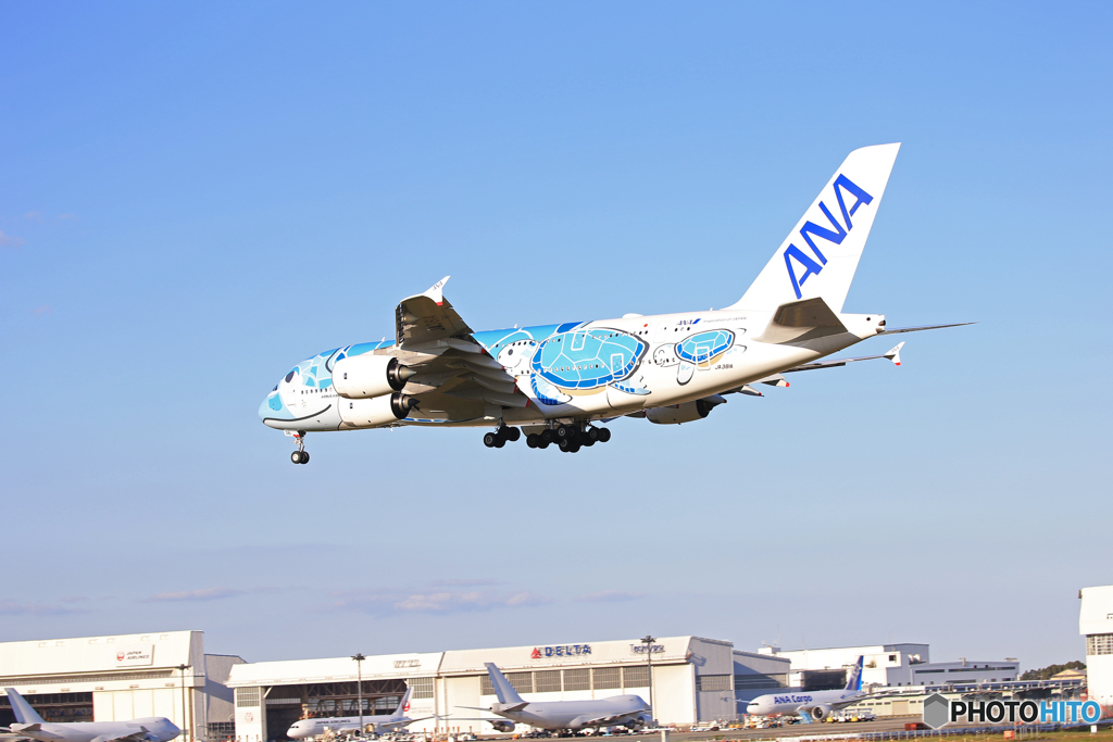 「群青色」ANA Flying Honu A380-841 JA381A 着陸