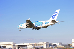 「群青色」ANA Flying Honu A380-841 JA381A 着陸