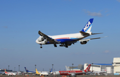 「真青の空」 NCA 747-8KZF JA11KZ空港・風景