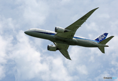 「青色が好き」 ANA 787-8 JA827A 離陸