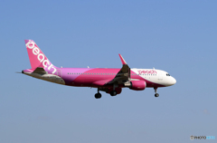 「はれー」peach A320-214 JA13VA  到着