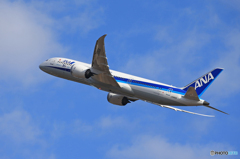 「青」☆ANA 787-9 JA8282A　離陸です