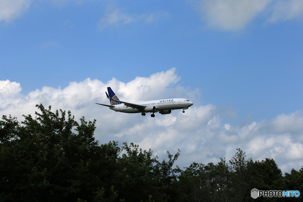 「あおいそら」 United 737-800 シミターN37281 着陸