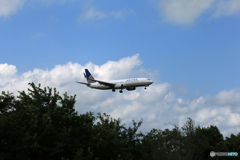 「あおいそら」 United 737-800 シミターN37281 着陸