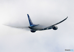 「すかい」 ANA 787-8 JA806A ベイパーですか？