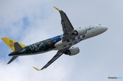 「そらー」 ロイヤルブルネイA320-251 V8-RBD 飛ぶ