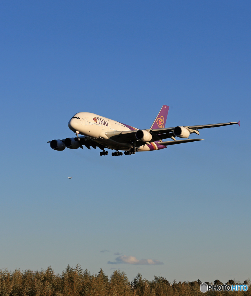「群青色」 THAI A380-841 HS-TUB 着地前 