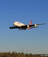 「群青色」 THAI A380-841 HS-TUB 着地前 
