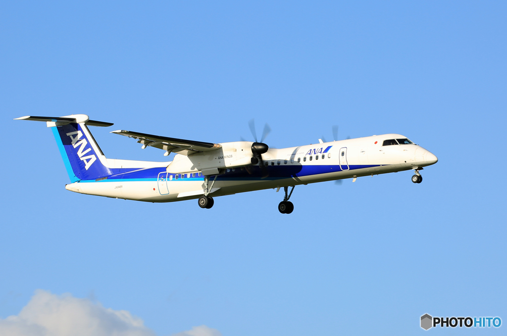 「青が大好き」 ANA DHC-8-400 JA848A 着陸です