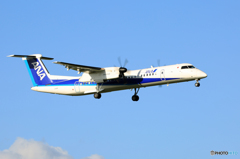「青が大好き」 ANA DHC-8-400 JA848A 着陸です
