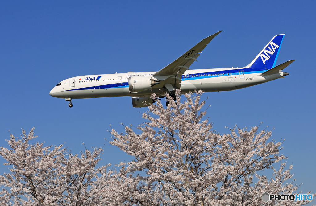 「青が大好き」 ☀ANA B787-9 JA885A着陸します