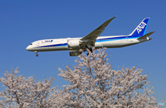 「青が大好き」 ☀ANA B787-9 JA885A着陸します
