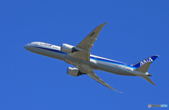  「青が好き」ANA 787-9 JA888A Takeoff  