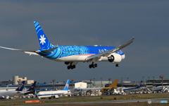 「空色」Air Tahiti Nui 787-9 着地前 
