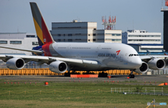 「真青の空」 ASIANA A380-841 飛行