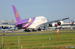 「青が大好き」☀ Thai A380-841 到着です